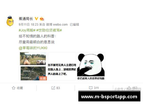 球员张璐因辱骂事件引发争议与道歉：一场言论风波的深思