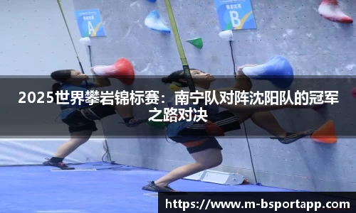 bsports登录入口