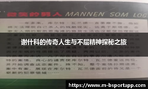 bsports平台